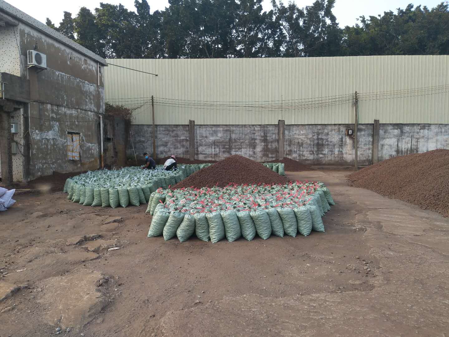 乐竞网页版推荐